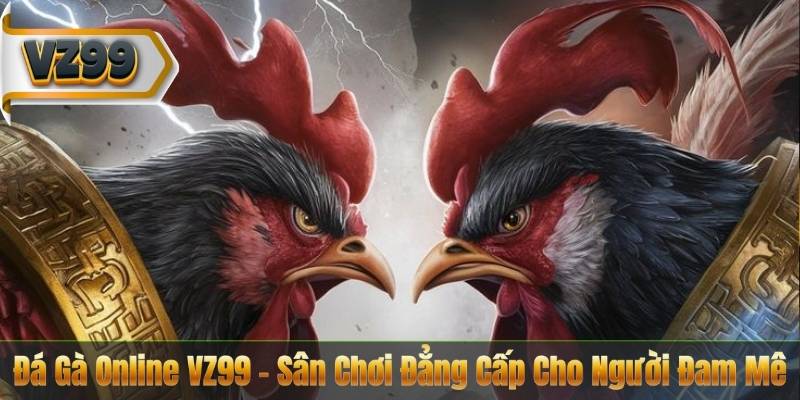 Đá Gà Online VZ99 – Sân Chơi Đẳng Cấp Cho Người Đam Mê 9 Đá Gà Online VZ99 – Sân Chơi Đẳng Cấp Cho Người Đam Mê
